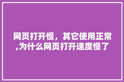 网页打开慢，其它使用正常,为什么网页打开速度慢了。 网页打开慢，其它使用正常,为什么网页打开速度慢了。 神马SEO