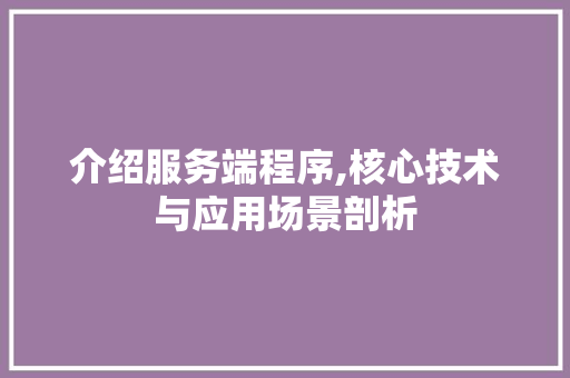 介绍服务端程序,核心技术与应用场景剖析