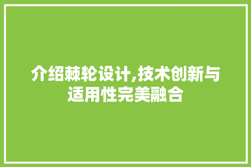 介绍棘轮设计,技术创新与适用性完美融合
