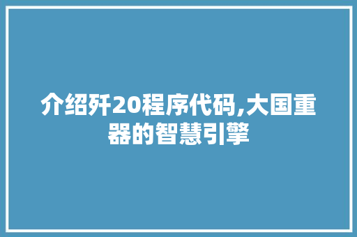 介绍歼20程序代码,大国重器的智慧引擎