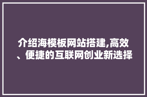 介绍海模板网站搭建,高效、便捷的互联网创业新选择