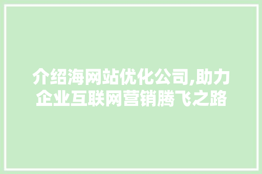 介绍海网站优化公司,助力企业互联网营销腾飞之路