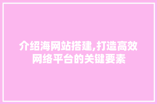介绍海网站搭建,打造高效网络平台的关键要素