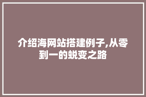 介绍海网站搭建例子,从零到一的蜕变之路
