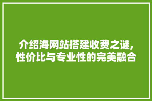 介绍海网站搭建收费之谜,性价比与专业性的完美融合