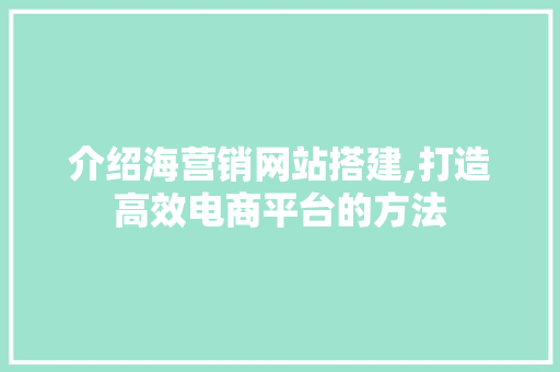 介绍海营销网站搭建,打造高效电商平台的方法 介绍海营销网站搭建,打造高效电商平台的方法 SEO关键词