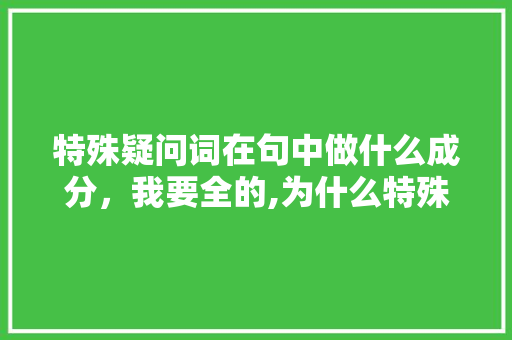特殊疑问词在句中做什么成分，我要全的,为什么特殊疑问词英文单词不写。