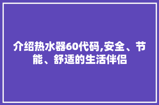 介绍热水器60代码,安全、节能、舒适的生活伴侣