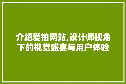 介绍爱拍网站,设计师视角下的视觉盛宴与用户体验