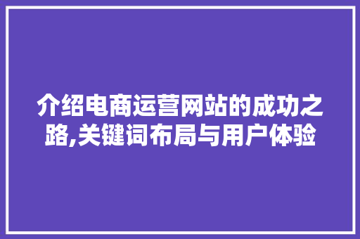 介绍电商运营网站的成功之路,关键词布局与用户体验