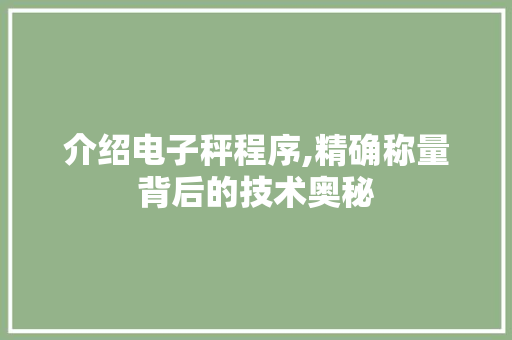 介绍电子秤程序,精确称量背后的技术奥秘