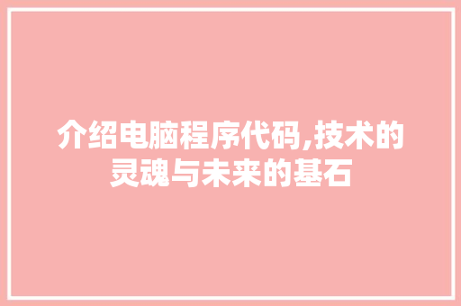 介绍电脑程序代码,技术的灵魂与未来的基石 介绍电脑程序代码,技术的灵魂与未来的基石 必应SEO