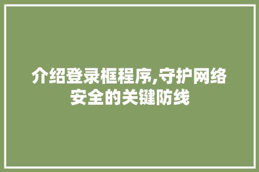 介绍登录框程序,守护网络安全的关键防线