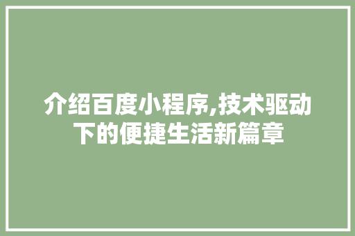 介绍百度小程序,技术驱动下的便捷生活新篇章