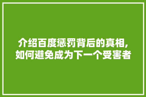 介绍百度惩罚背后的真相,如何避免成为下一个受害者