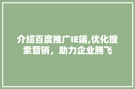 介绍百度推广IE端,优化搜索营销，助力企业腾飞