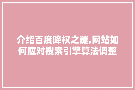 介绍百度降权之谜,网站如何应对搜索引擎算法调整