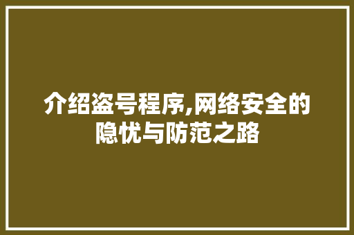 介绍盗号程序,网络安全的隐忧与防范之路 介绍盗号程序,网络安全的隐忧与防范之路 网站建设公司