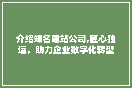 介绍知名建站公司,匠心独运，助力企业数字化转型 介绍知名建站公司,匠心独运，助力企业数字化转型 搜狗SEO