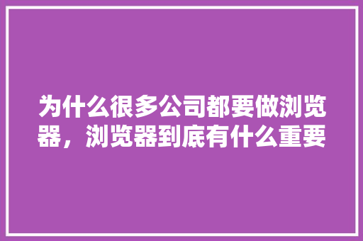 为什么很多公司都要做浏览器，浏览器到底有什么重要的战略意义,网页设计为什么很重要呢。 为什么很多公司都要做浏览器，浏览器到底有什么重要的战略意义,网页设计为什么很重要呢。 必应SEO