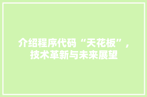 介绍程序代码“天花板”,技术革新与未来展望 介绍程序代码“天花板”,技术革新与未来展望 神马SEO