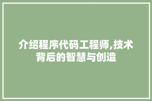 介绍程序代码工程师,技术背后的智慧与创造