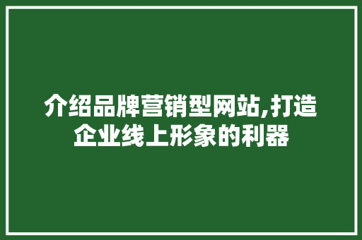介绍品牌营销型网站,打造企业线上形象的利器