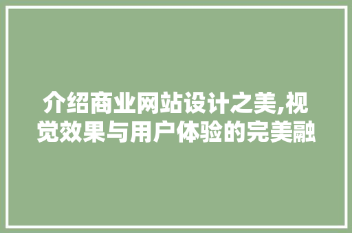 介绍商业网站设计之美,视觉效果与用户体验的完美融合