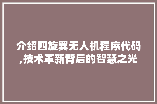 介绍四旋翼无人机程序代码,技术革新背后的智慧之光
