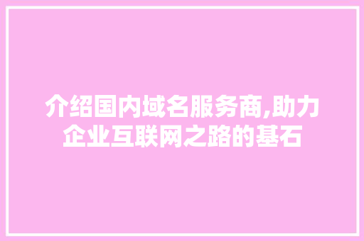 介绍国内域名服务商,助力企业互联网之路的基石
