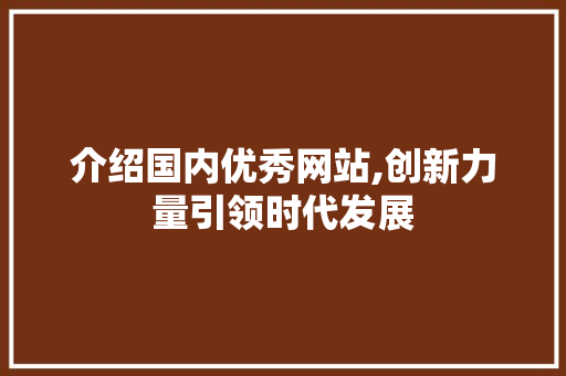 介绍国内优秀网站,创新力量引领时代发展