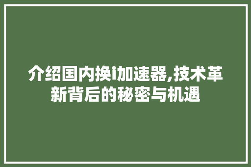 介绍国内换i加速器,技术革新背后的秘密与机遇