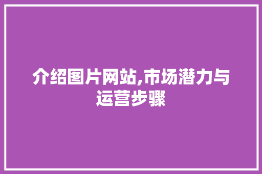 介绍图片网站,市场潜力与运营步骤
