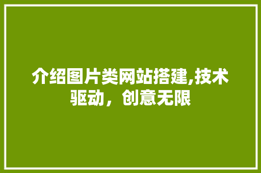 介绍图片类网站搭建,技术驱动，创意无限 介绍图片类网站搭建,技术驱动，创意无限 网站建设公司