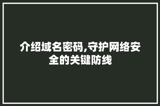 介绍域名密码,守护网络安全的关键防线