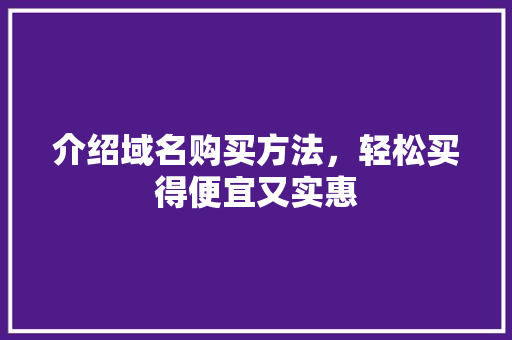 介绍域名购买方法，轻松买得便宜又实惠
