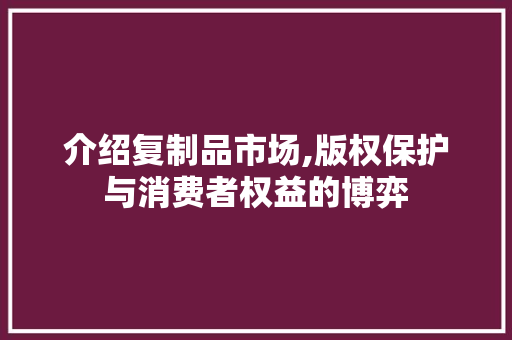 介绍复制品市场,版权保护与消费者权益的博弈