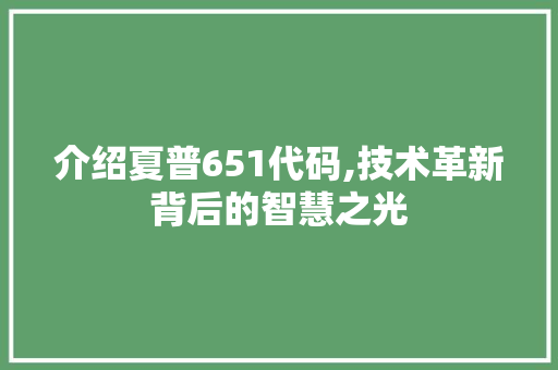 介绍夏普651代码,技术革新背后的智慧之光 介绍夏普651代码,技术革新背后的智慧之光 SEO关键词