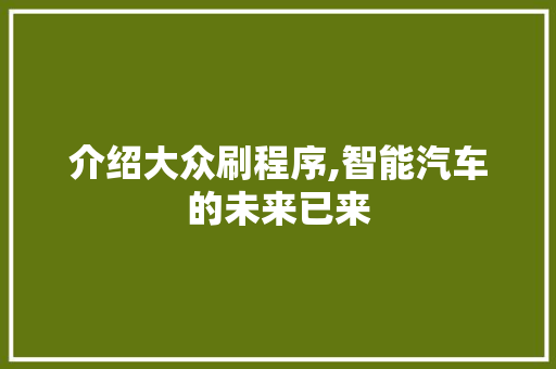 介绍大众刷程序,智能汽车的未来已来 介绍大众刷程序,智能汽车的未来已来 SEO关键词