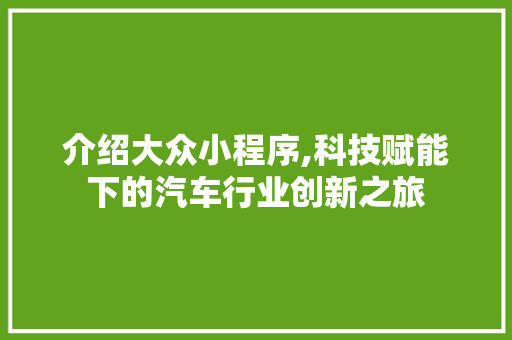 介绍大众小程序,科技赋能下的汽车行业创新之旅