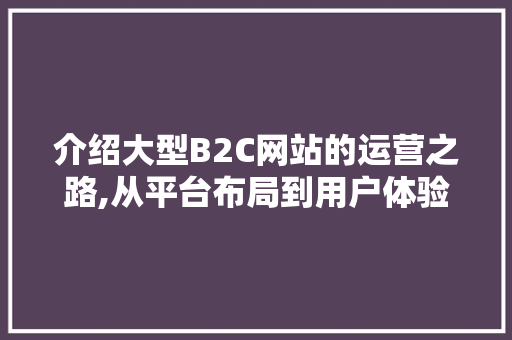 介绍大型B2C网站的运营之路,从平台布局到用户体验