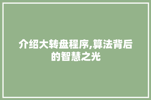 介绍大转盘程序,算法背后的智慧之光