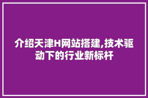 介绍天津H网站搭建,技术驱动下的行业新标杆