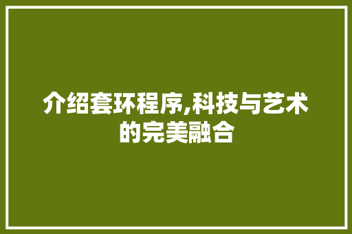 介绍套环程序,科技与艺术的完美融合