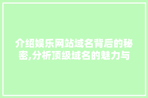 介绍娱乐网站域名背后的秘密,分析顶级域名的魅力与价值