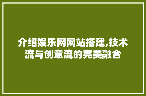 介绍娱乐网网站搭建,技术流与创意流的完美融合