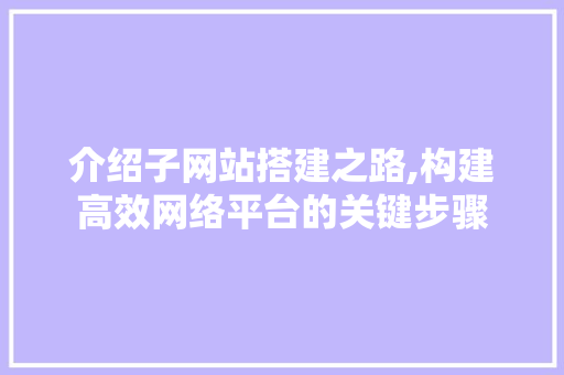 介绍子网站搭建之路,构建高效网络平台的关键步骤