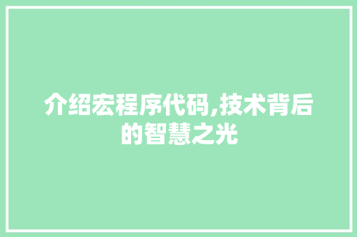 介绍宏程序代码,技术背后的智慧之光