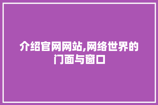 介绍官网网站,网络世界的门面与窗口
