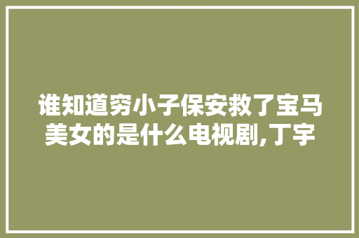 谁知道穷小子保安救了宝马美女的是什么电视剧,丁宇何雪琳复婚了吗。